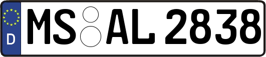 MS-AL2838