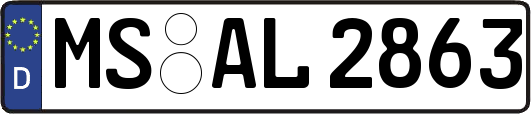 MS-AL2863