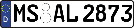 MS-AL2873