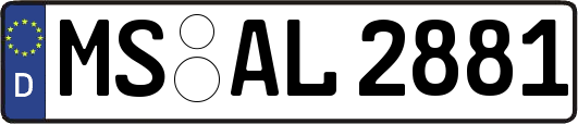 MS-AL2881