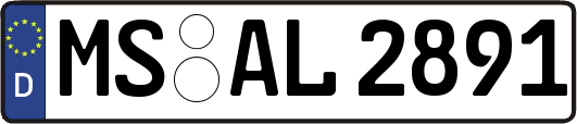 MS-AL2891