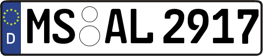 MS-AL2917