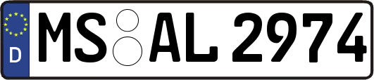 MS-AL2974