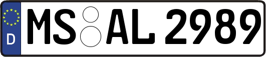 MS-AL2989