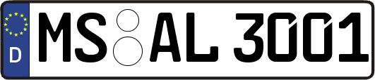 MS-AL3001