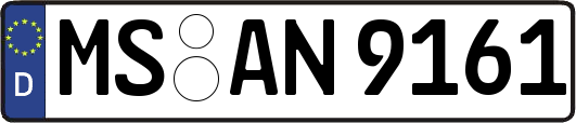 MS-AN9161