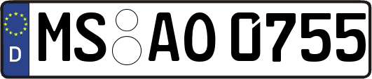 MS-AO0755