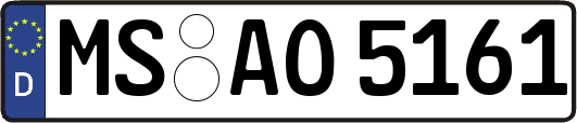 MS-AO5161