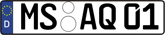 MS-AQ01