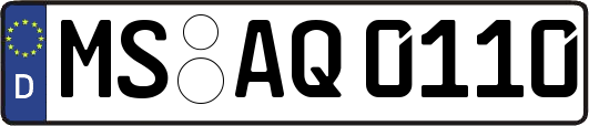 MS-AQ0110