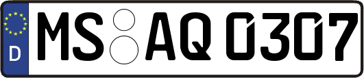 MS-AQ0307