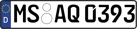 MS-AQ0393