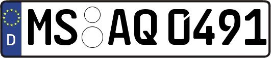 MS-AQ0491