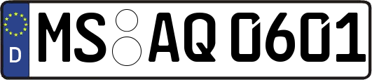 MS-AQ0601