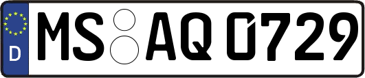 MS-AQ0729