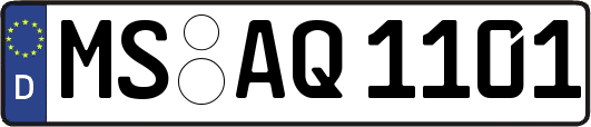 MS-AQ1101