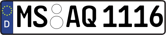 MS-AQ1116