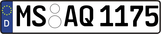 MS-AQ1175