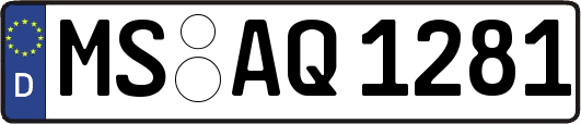 MS-AQ1281