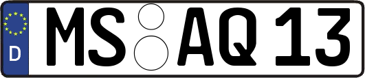 MS-AQ13
