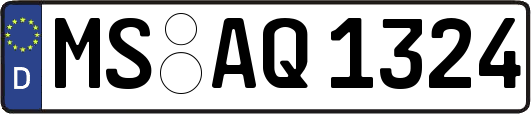 MS-AQ1324