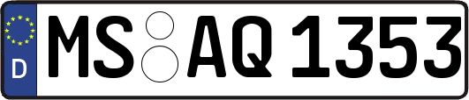 MS-AQ1353