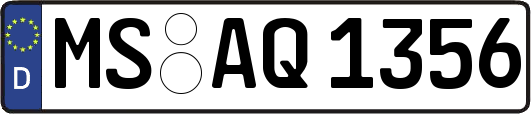 MS-AQ1356