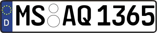 MS-AQ1365