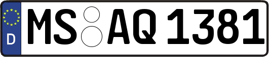 MS-AQ1381
