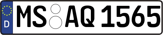 MS-AQ1565