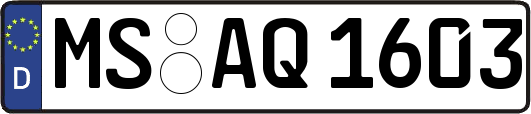 MS-AQ1603