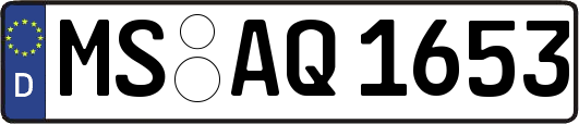 MS-AQ1653