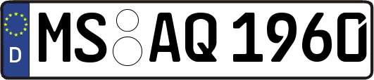 MS-AQ1960