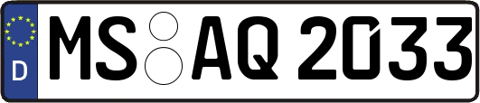 MS-AQ2033