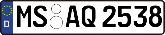 MS-AQ2538