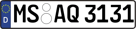 MS-AQ3131