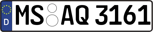 MS-AQ3161