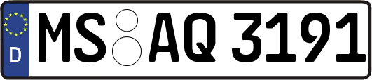 MS-AQ3191