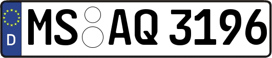 MS-AQ3196