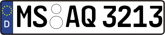 MS-AQ3213