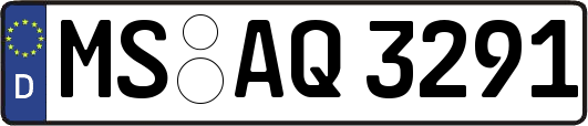 MS-AQ3291
