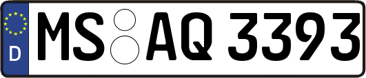 MS-AQ3393