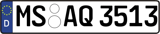 MS-AQ3513