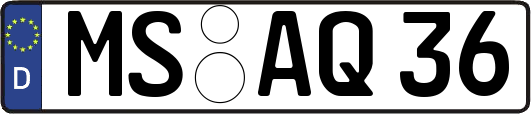 MS-AQ36
