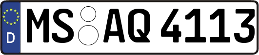 MS-AQ4113
