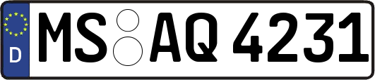 MS-AQ4231