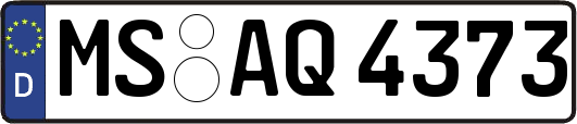 MS-AQ4373