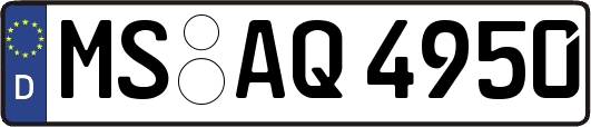 MS-AQ4950