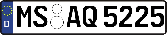 MS-AQ5225
