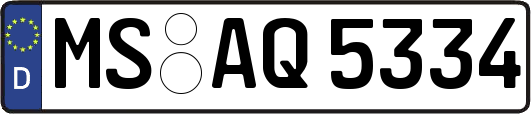 MS-AQ5334